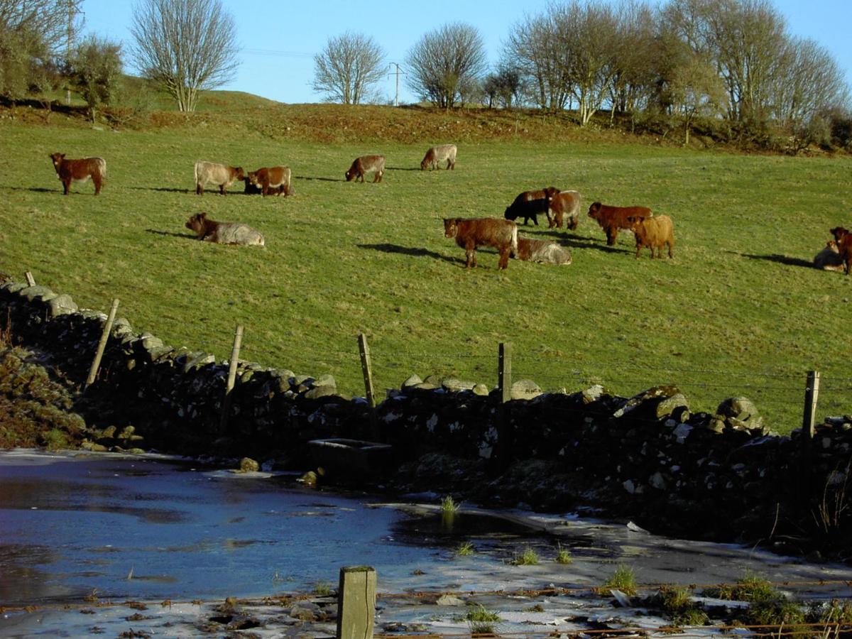 Nest Holiday Home Central Callander, Trossachs Self-Catering מראה חיצוני תמונה